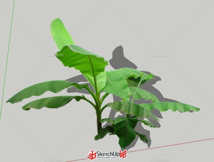 分享