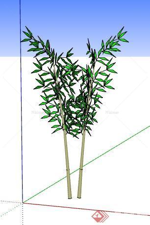 一棵竹子的景观植物设计SU模型