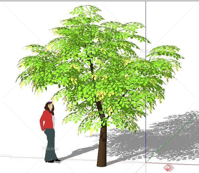 精细3D树木植物素材SU模型[原创]