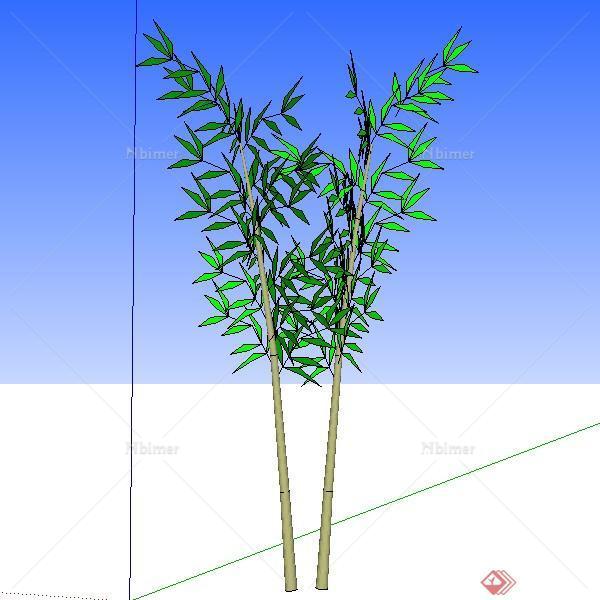 设计素材住景观植物竹子设计方案su模型