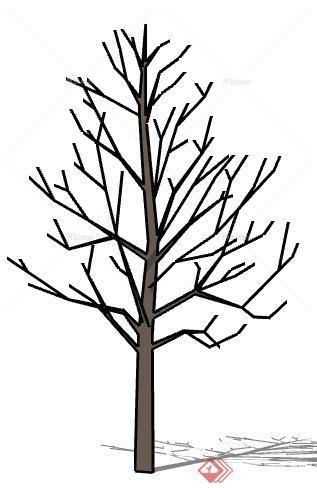 一棵树木树干设计的SU模型
