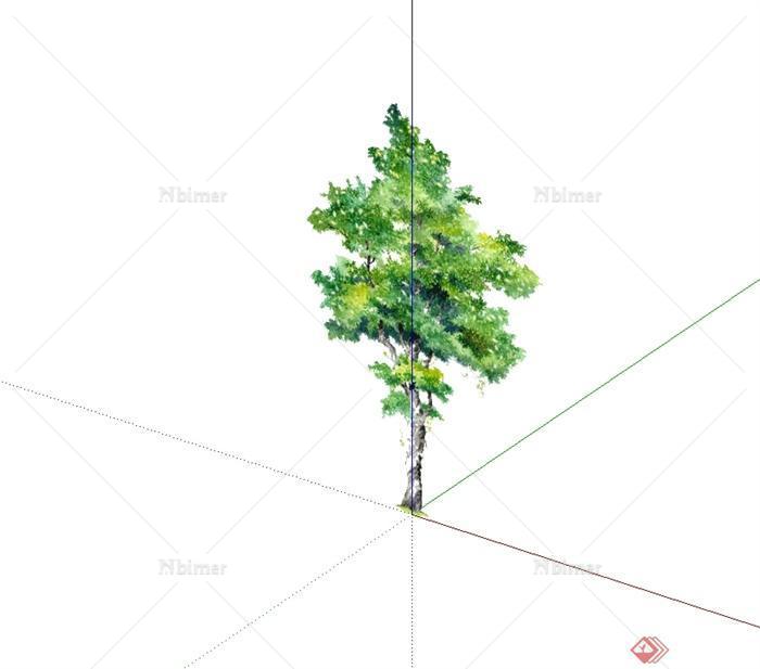 单棵2d手绘树木植物设计su素材模型[原创]