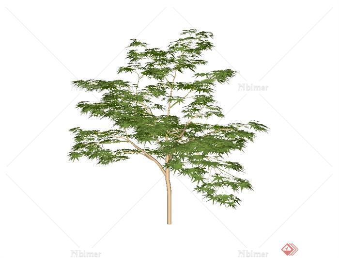 一棵详细的树木植物素材设计SU模型[原创]