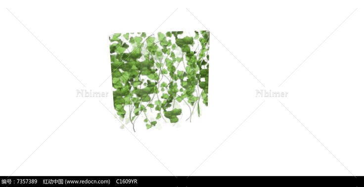 绿色爬藤植物SU模型