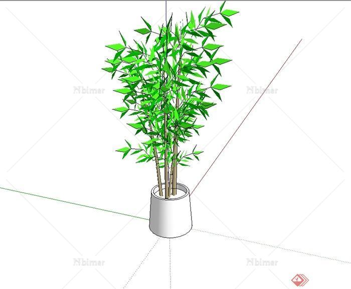 经典盆栽竹子植物素材设计SU模型[原创]