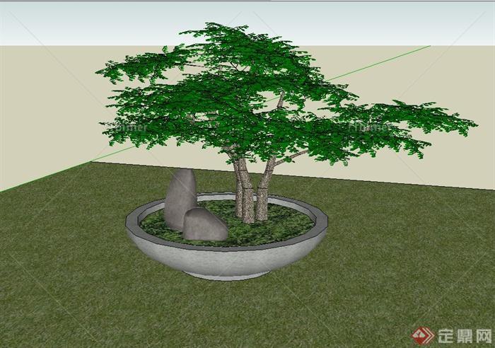 松树盆景设计su模型