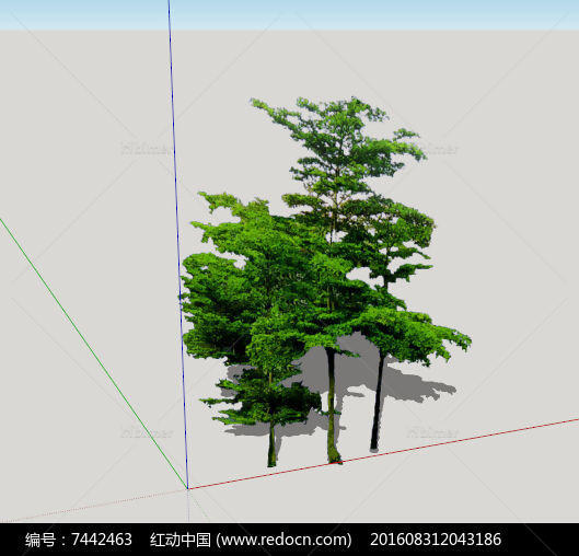 sketchup模型树2d真实多颗乔木