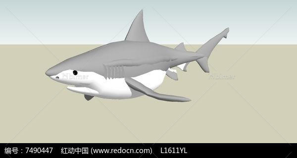 鲨鱼的SU模型
