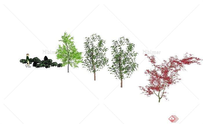 五种不同的景观树木植物素材设计SU模型[原创]