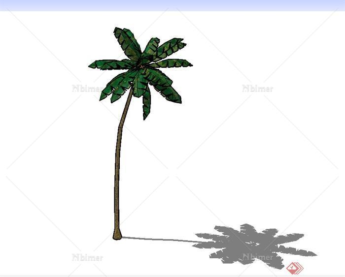 经典的椰子树植物素材设计SU模型[原创]