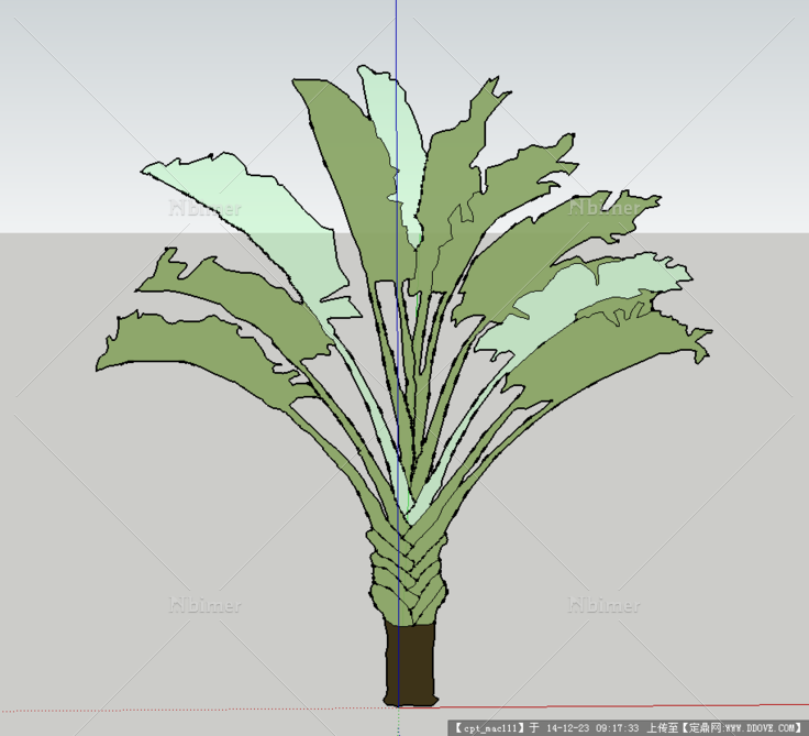 旅人蕉2D植物su模型