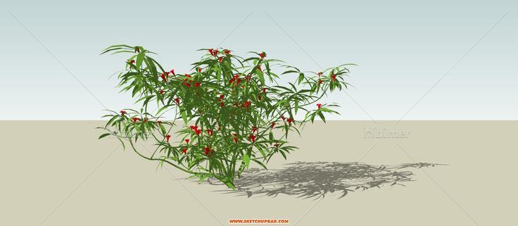 120种植物模型分享，新人