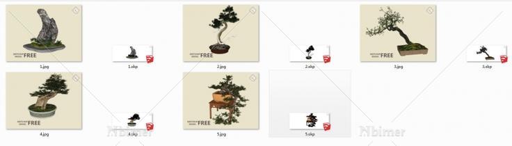 NEW!-绝对高大上的罗汉松系列盆景精致SketchUp模