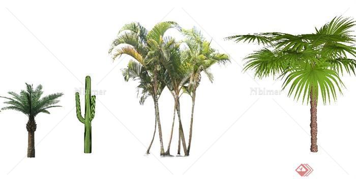 7款棕榈类植物su模型[原创]