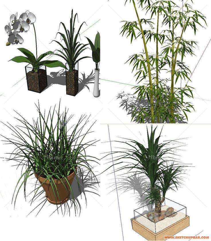 收集的几个不错的3D植物。