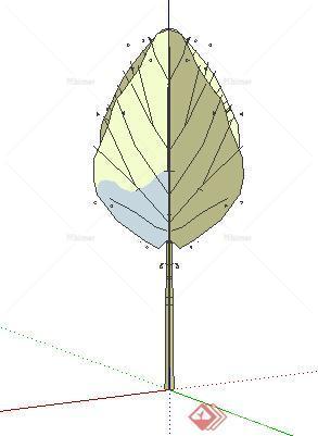 设计素材之景观植物乔木设计素材su模型13