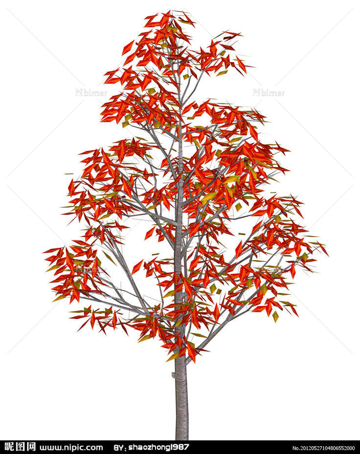 红色的树图片