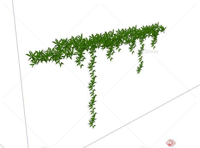 某植物藤蔓及垂直植物设计SU模型[原创]