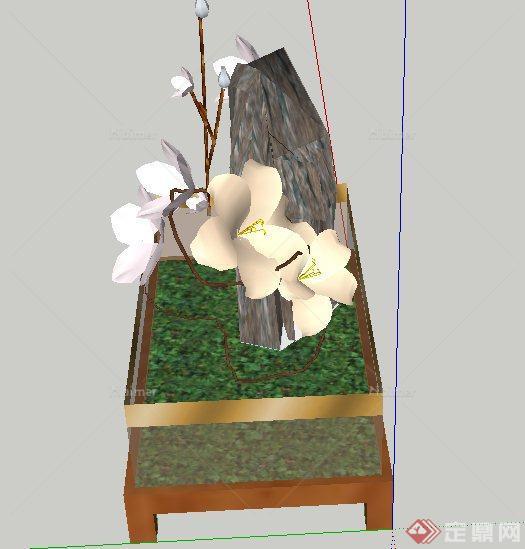 两款室内盆景植物花卉设计SU模型