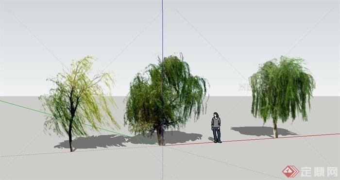 3棵水性植物柳树设计SU模型[原创]