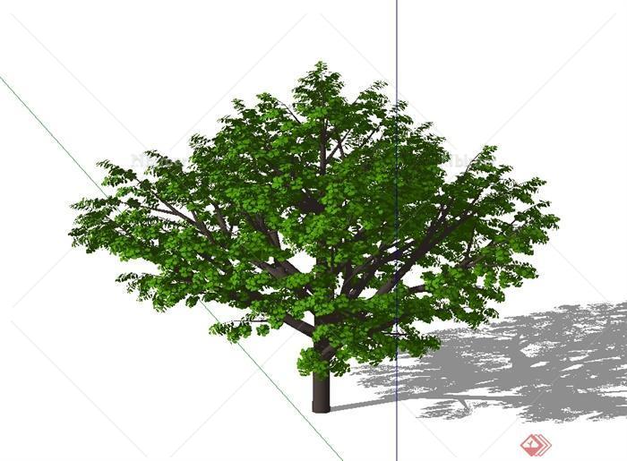 某完整详细的树木植物素材设计SU模型[原创]