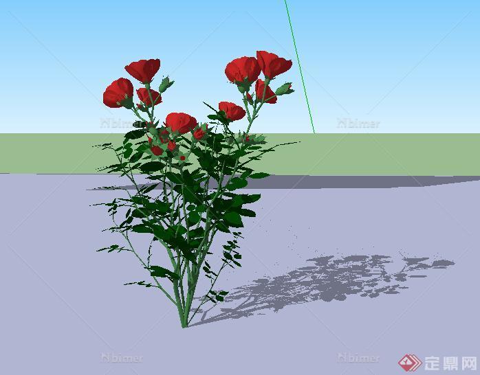 景观设计植物素材玫瑰花su模型素材
