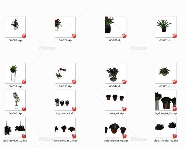 NEW!-分享全新一组室内精致花卉盆栽SketchUp模型