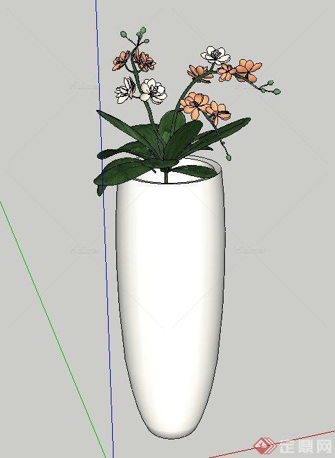 室内花瓶植物设计SU模型