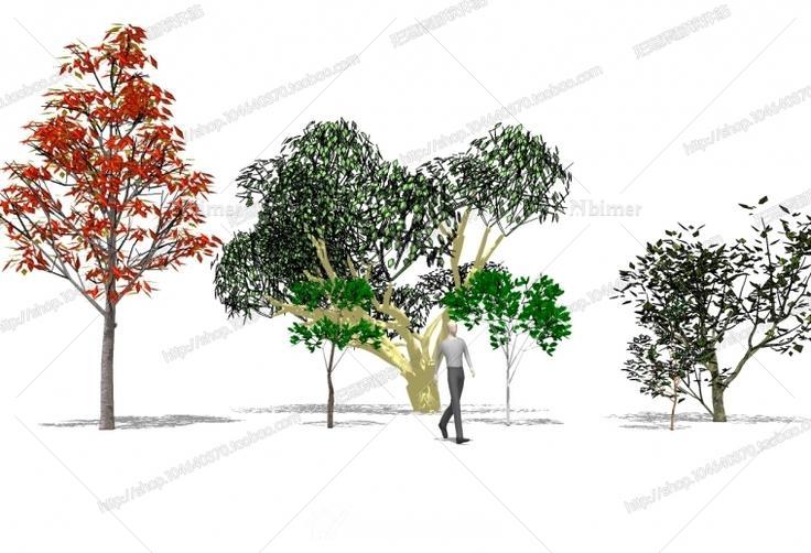 3D大树SketchUp模型提供下载分享带截图预览，喜
