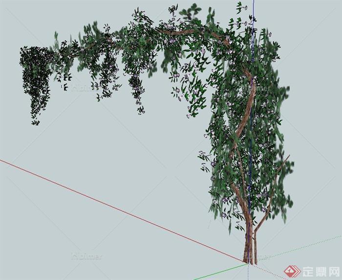 园林景观藤蔓植物设计SU模型
