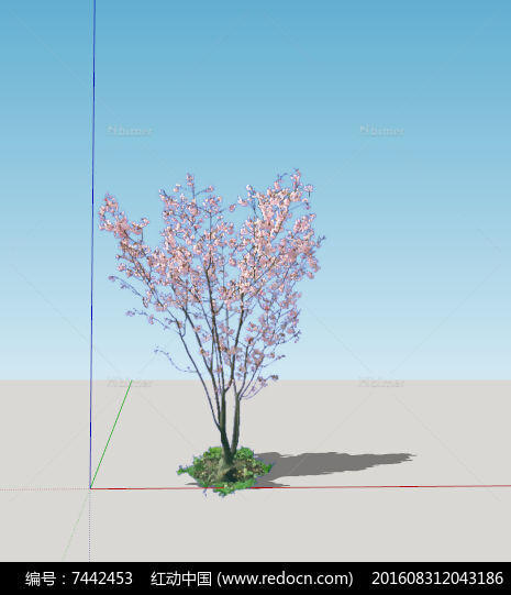 sketchup模型树2d真实玉兰