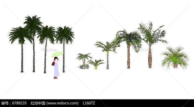 多种棕榈植物SU模型