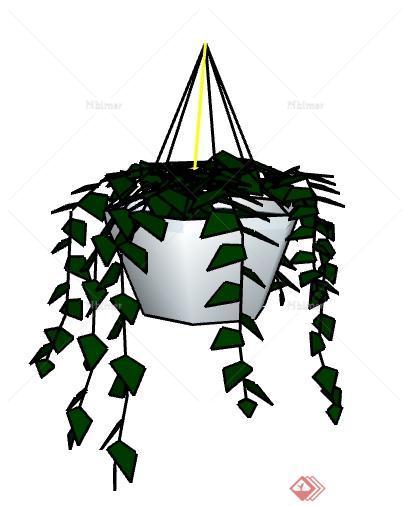 一盆挂篮植物的设计SU模型