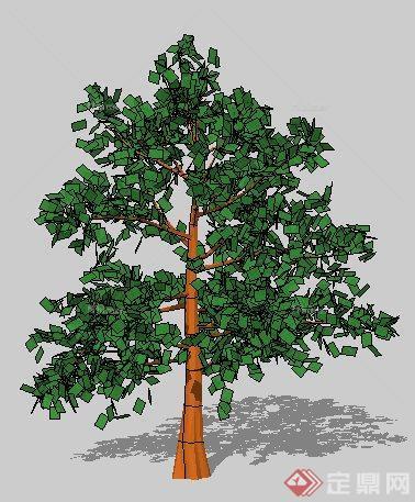 一株园林景观树木SU模型素材（2）