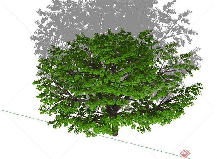 某完整详细的树木植物素材设计SU模型[原创]