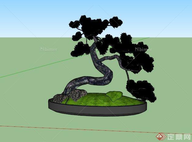 某室内盆栽松树设计SU模型