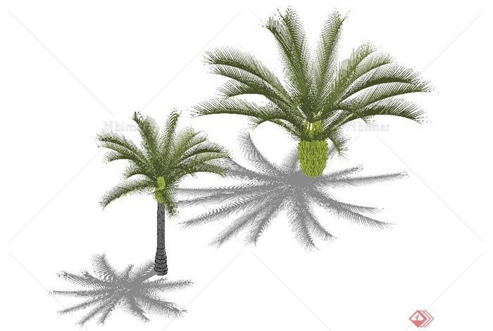 经典两棵海藻树植物素材设计SU模型[原创]