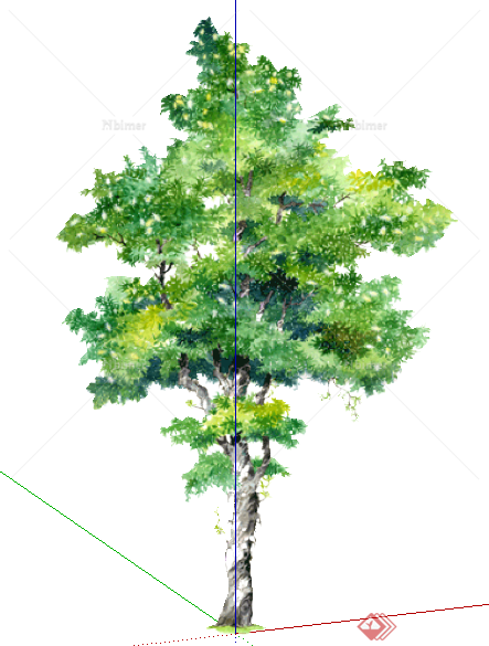 9款园林景观树植物su模型