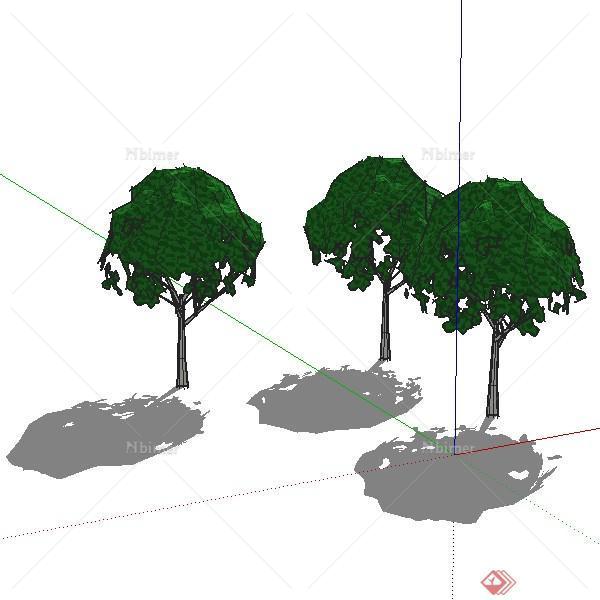 3棵园林景观植物设计SU模型