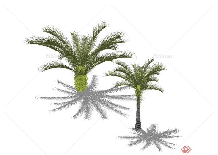 经典两棵海藻树植物素材设计SU模型[原创]
