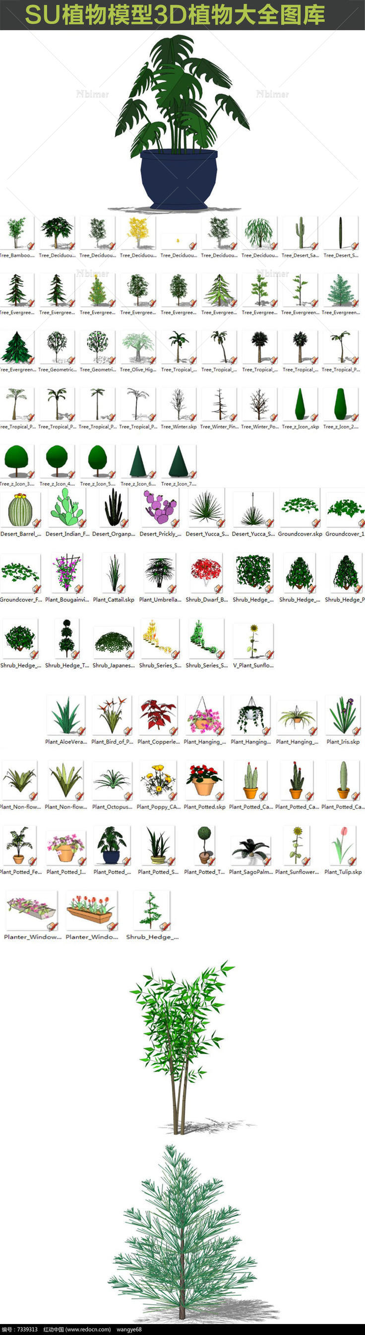 SU植物模型3d图库大全