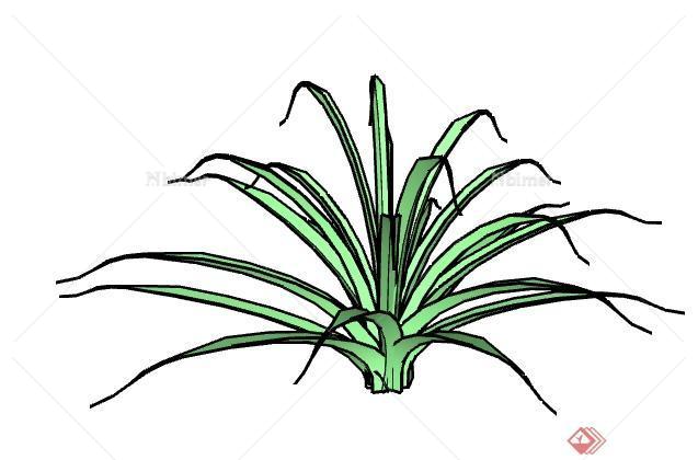 一棵龙舌兰的景观植物设计SU模型