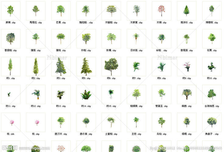 上百种2D植物图片