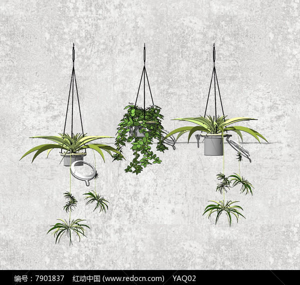垂吊植物SU模型