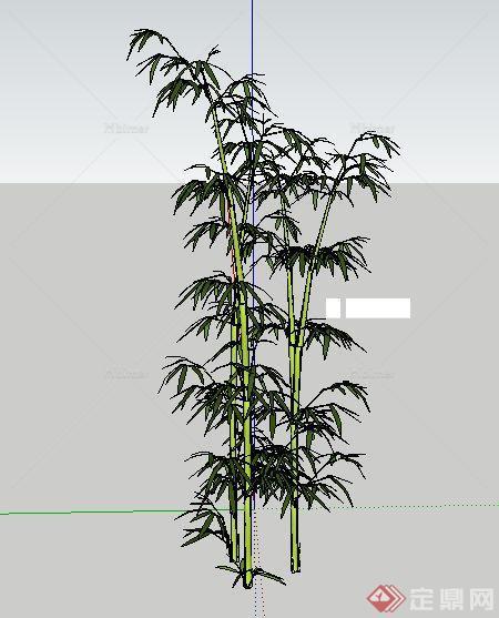 园林景观竹子su模型