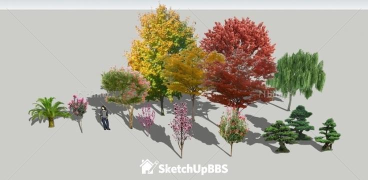 自己做的照片植物组件 提供SketchUp模型下载分享