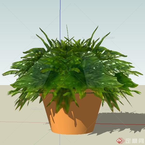 一棵盆栽植物设计的SU模型