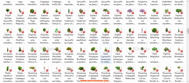 分享sketchup最全的景观树模型 1.14G大
