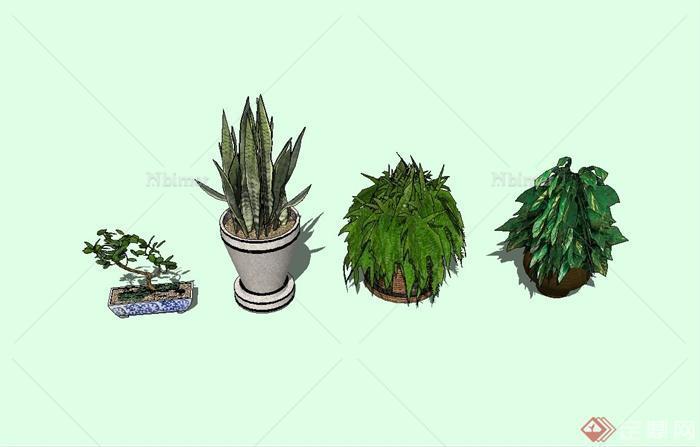 四种不同的植物景观盆栽设计su模型[原创]