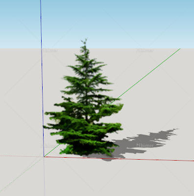 sketchup模型树2d真实松柏